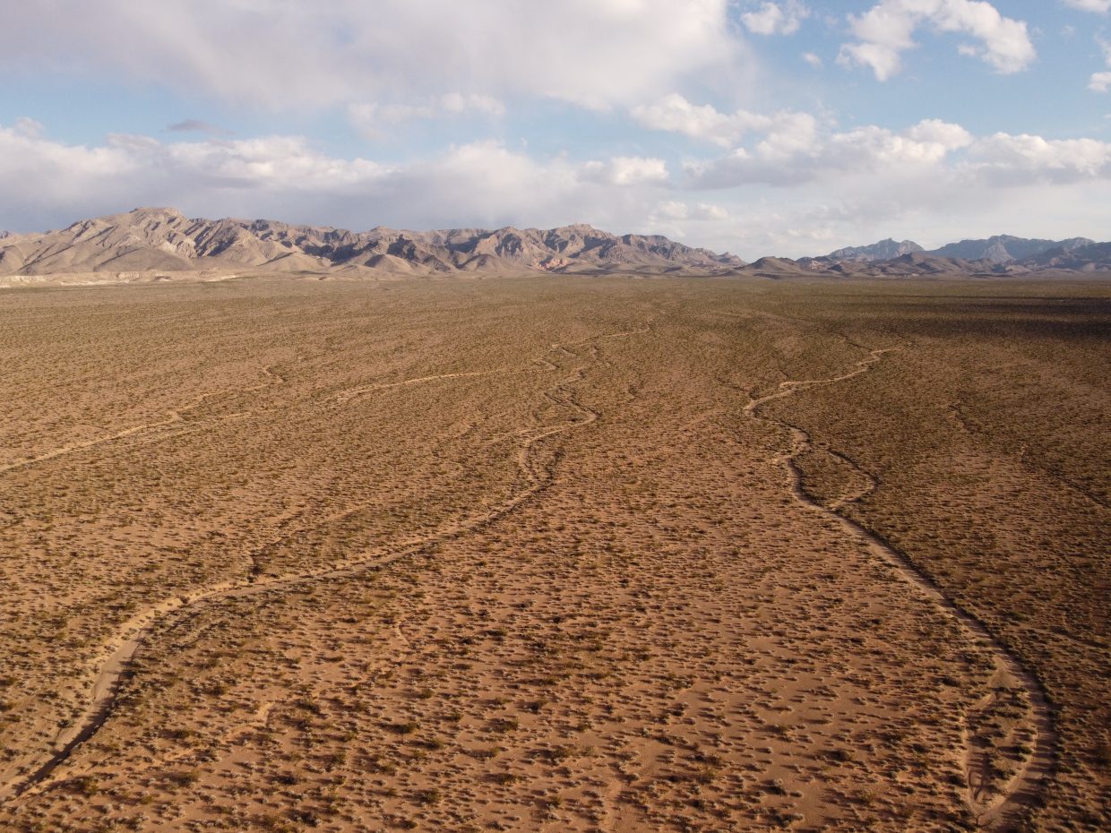 DJI 0813